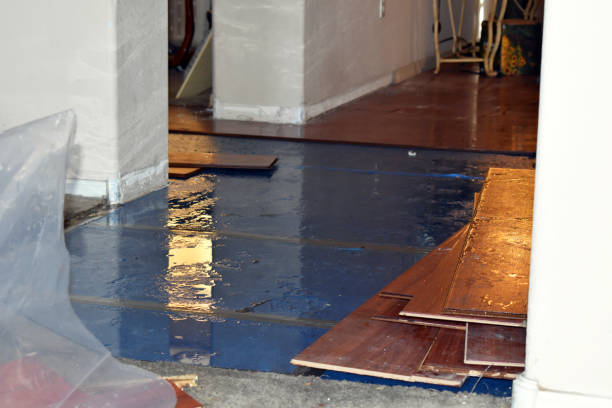 Professional Water Damage Restoration technician working in Kelleys Island, OH
